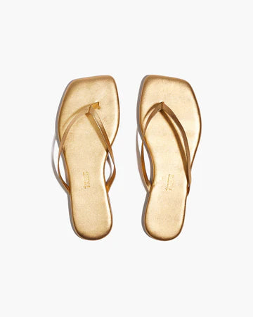 TKEES - Square Toe Lily - Blink