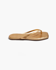 TKEES - Square Toe Lily - Blink