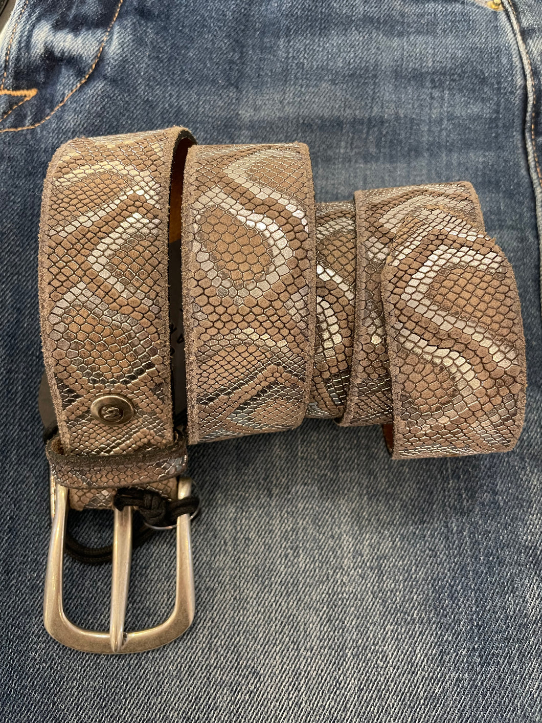 B Belt - Taupe and Silver Snake Belt/Silver Buckle