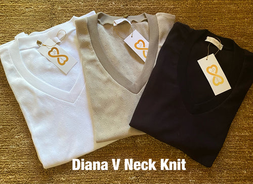 DY Choice, Bevy Flog - Diana Knit V-Neck Top